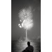 Фотоплівка ILFORD DELTA 3200 PROFESSIONAL